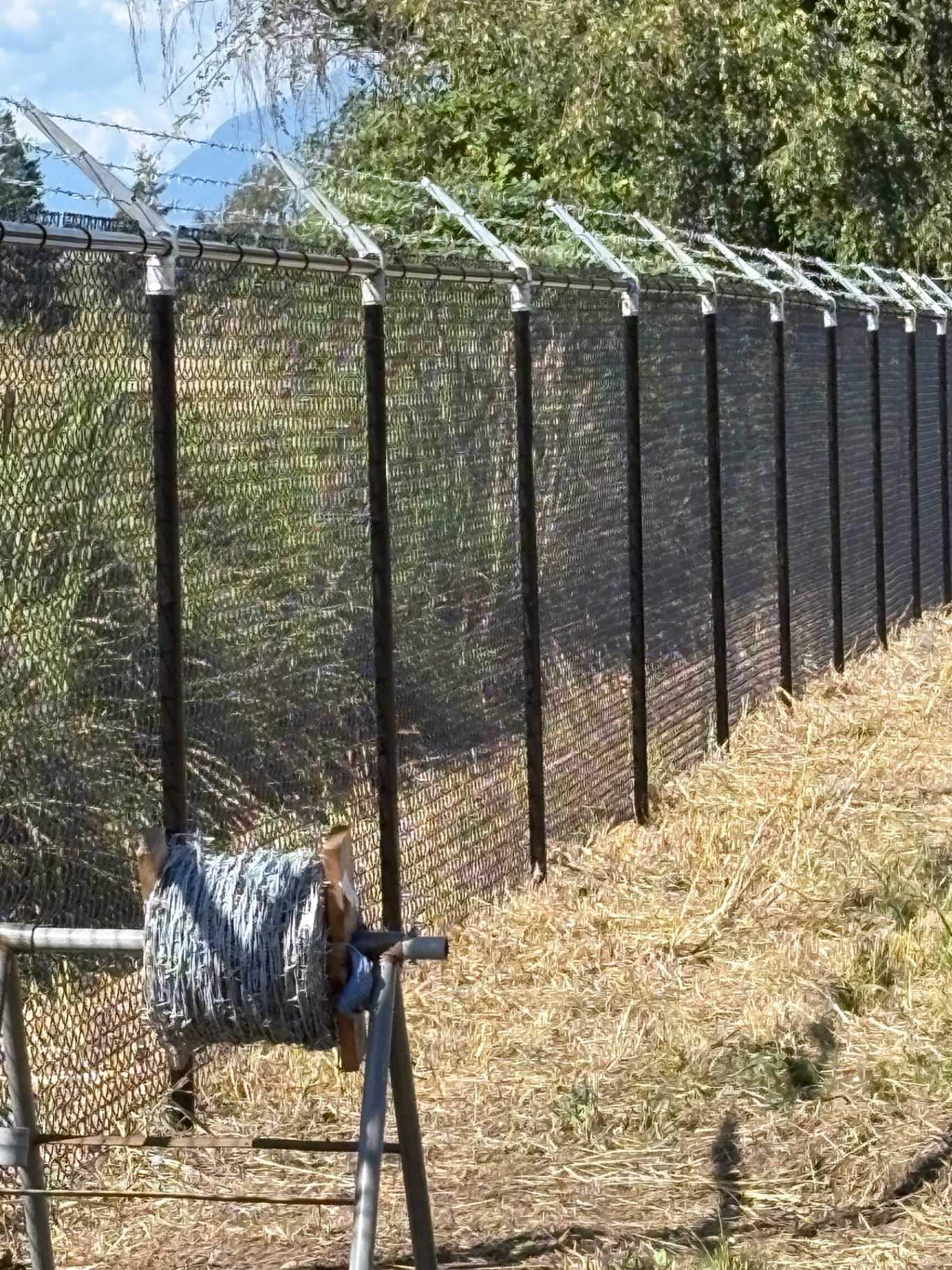 Commercial security chain link fence topped with three strands of barbed wire