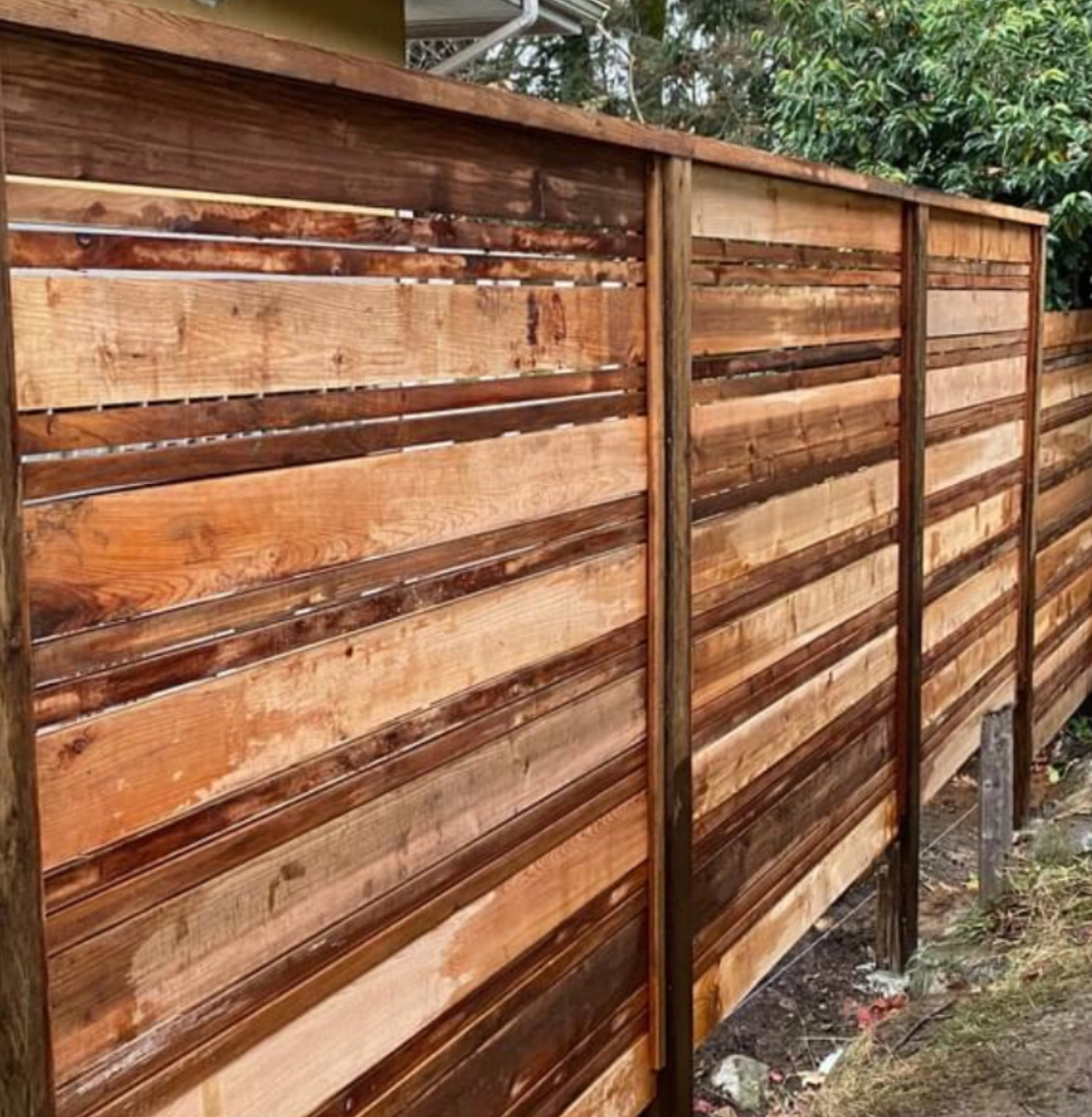 Modern horizontal cedar slat privacy fence in a backyard